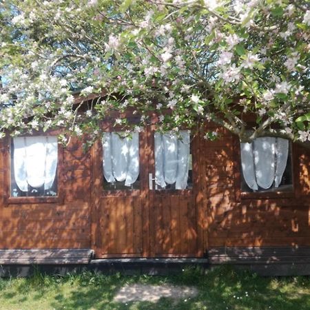 Chambre Studio Photo Chalet Sdb Partagee A Proximite Chavagne Exterior photo
